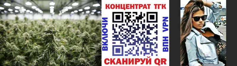 Дистиллят ТГК Wax  Купить где  Кириши 